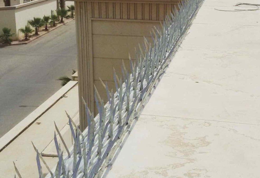 افضل شركة مكافحة الحمام