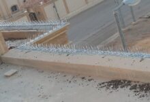 شركة مكافحة الحمام في راس الخيمة