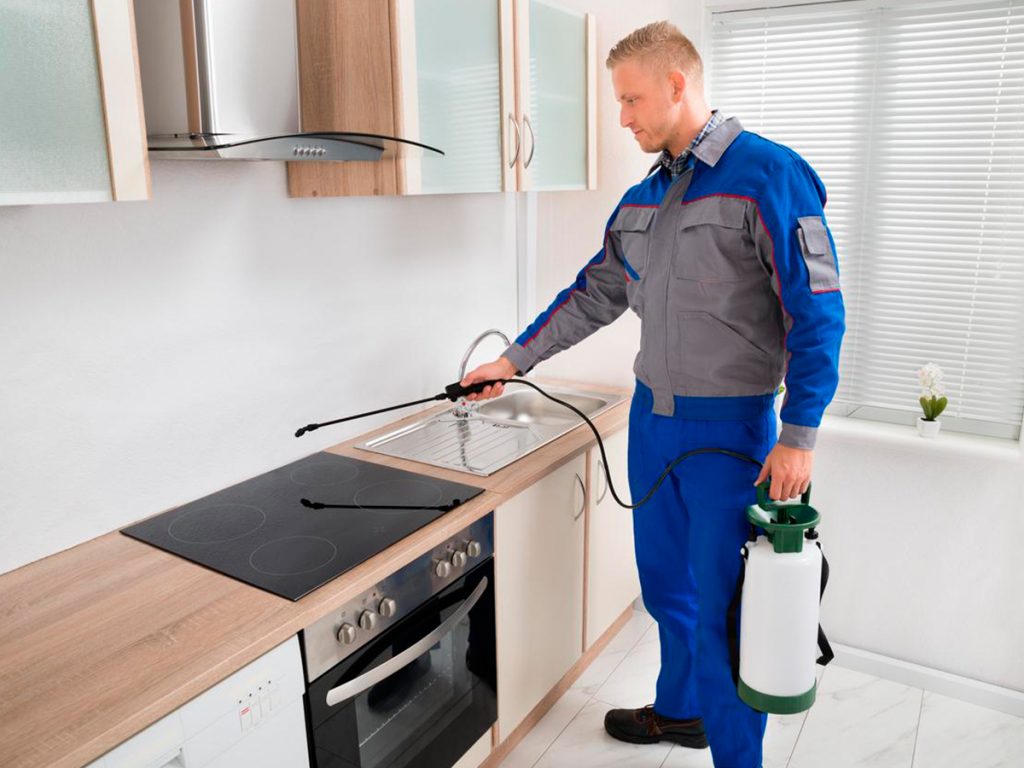 ارخص شركة مكافحة الرمة في الفجيرة