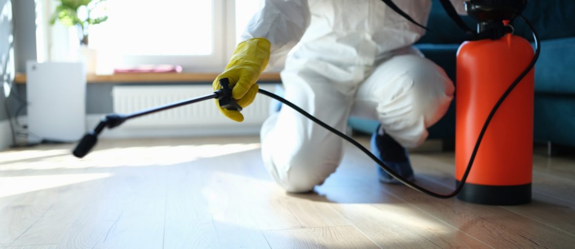 شركة مكافحة الرمة في ام القيوين