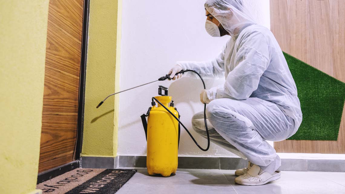 مزايا شركة مكافحة الرمة في ام القيوين
